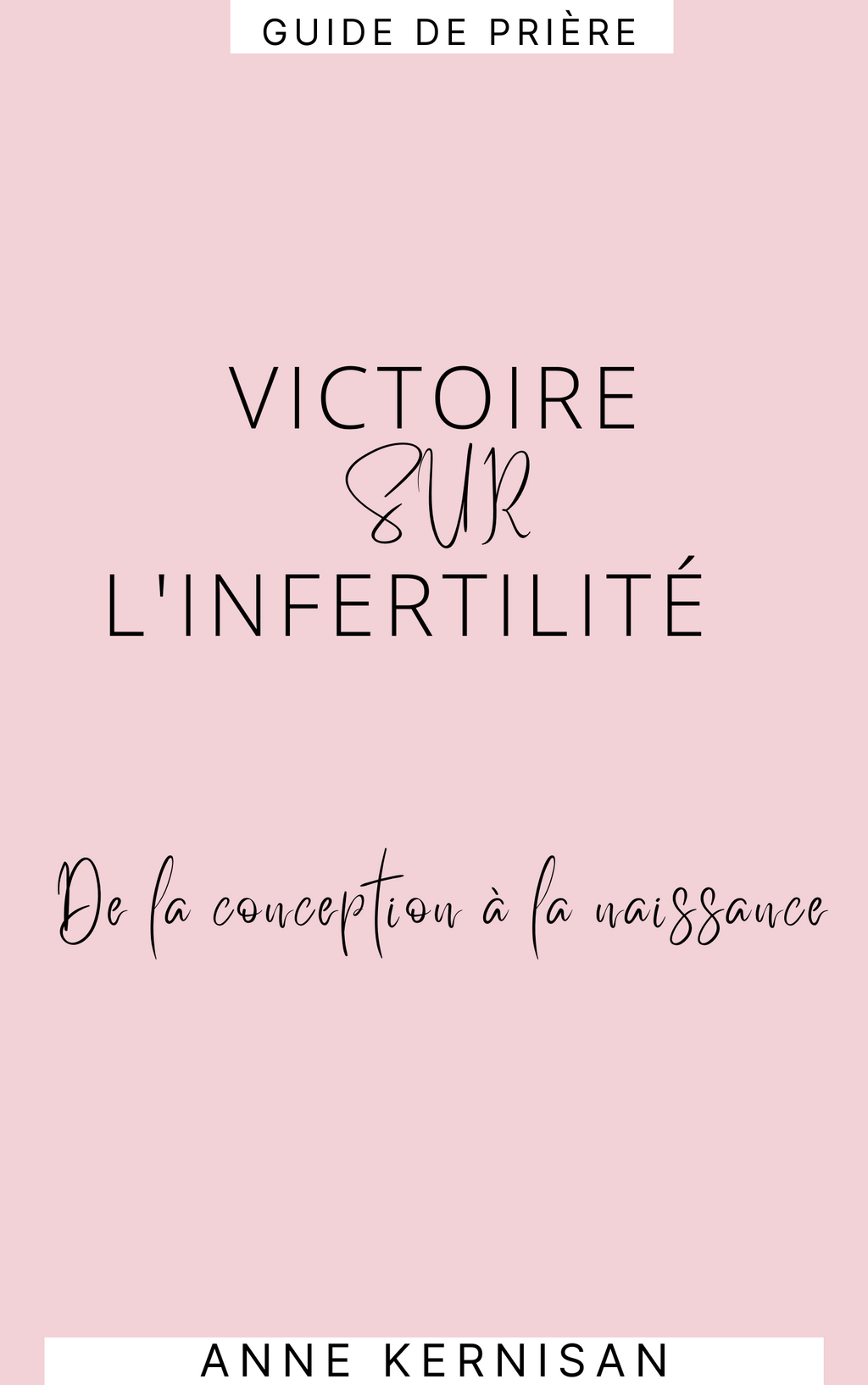 VICTORY OVER INFERTILITY-French Prayer Guide (E-Book)